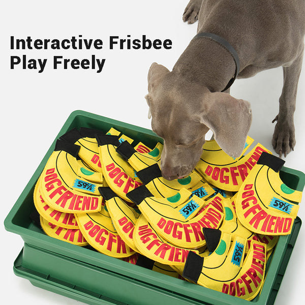 Fruit Squeaky Frisbee Dog Toy